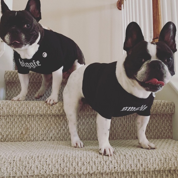 Biggie dog shirt - Picture 4 of 5